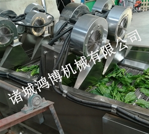 清洗風幹流水線