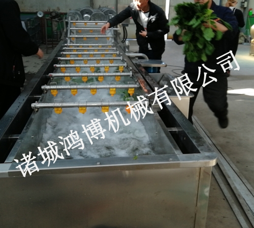 可定（dìng）製氣泡清洗機