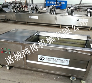 毛（máo）輥清（qīng）洗去皮機