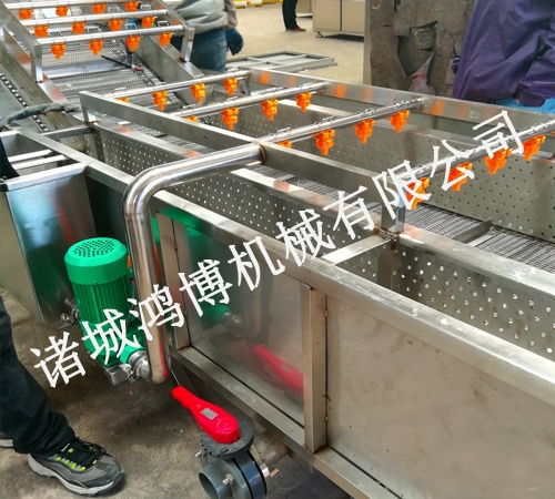 大薑清洗去(qù)皮(pí)機