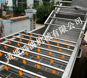 人參（cān）清洗機