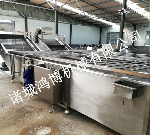 藥材清洗(xǐ)機