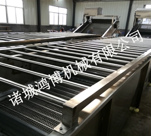 荷蘭豆清（qīng）洗機