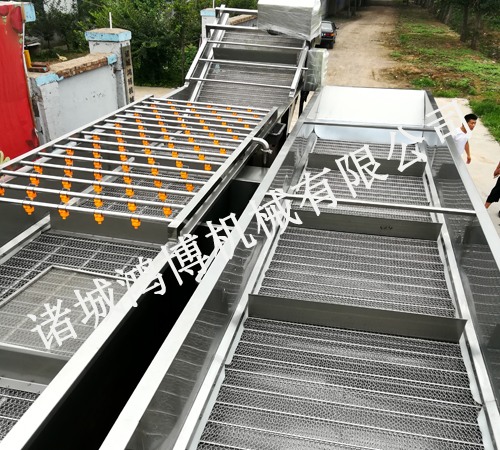生薑清洗機(jī)