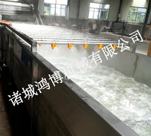 翻轉（zhuǎn）式氣泡水浴清洗機