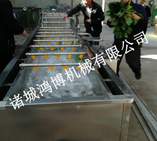 木（mù）耳（ěr）噴淋清洗機