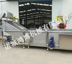大型商（shāng）用蔬菜清洗機