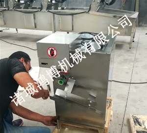 瓜果快（kuài）速去皮機