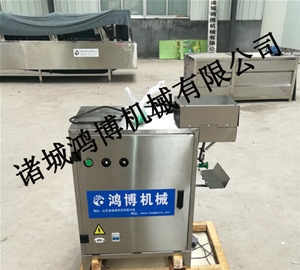大型（xíng）自動蘋果削皮機